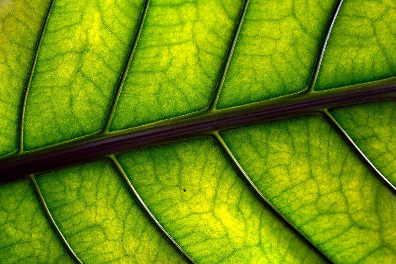 Eco-Friendly Fashion